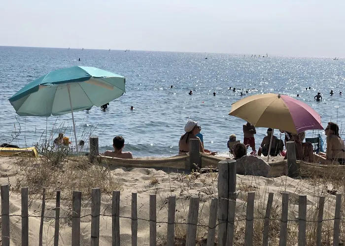 Climat. 4p, Proche Plage, Animaux Ok - Fr-1-793-23 Appartement Saint-Cyprien (Pyrenees-Orientales)